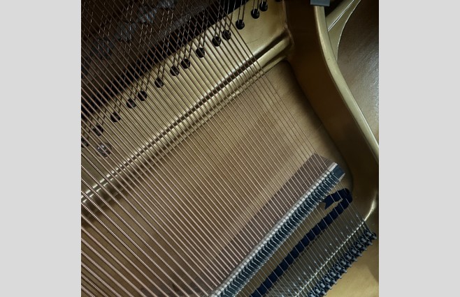 Peter Alexander & Sons Satin Mahogany Upright Piano, Used - All Inclusive Premium Package (SN:46964) - Image 12